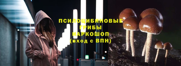 меф Горняк
