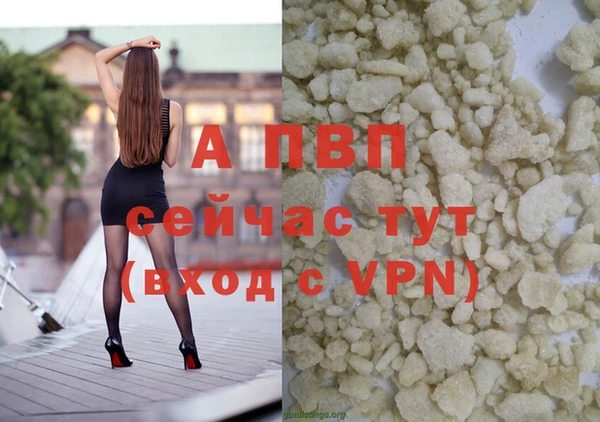 соль ск Горно-Алтайск