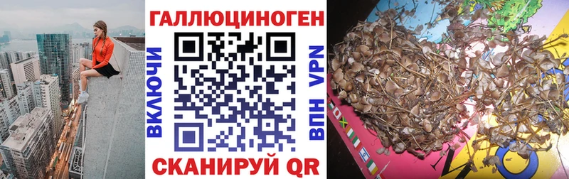 Псилоцибиновые грибы Psilocybine cubensis  нарко площадка состав  Долинск  купить наркотики цена 
